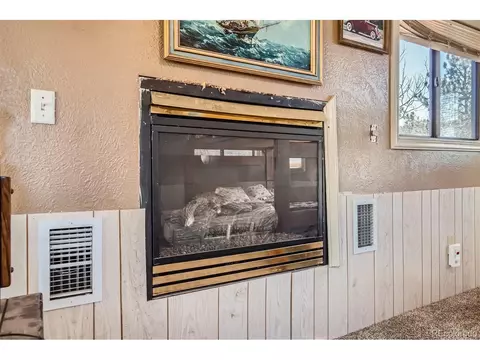 181 Mcdougal Rd, Bailey, CO 80421 photo 13