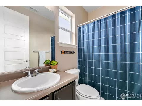 7025 Aladar Dr, Windsor, CO 80550 photo 27