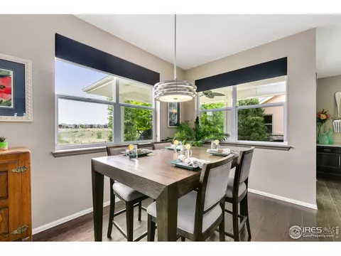7025 Aladar Dr, Windsor, CO 80550 photo 11