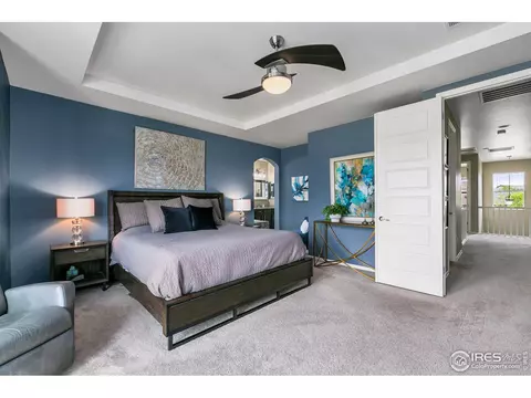 7025 Aladar Dr, Windsor, CO 80550 photo 22