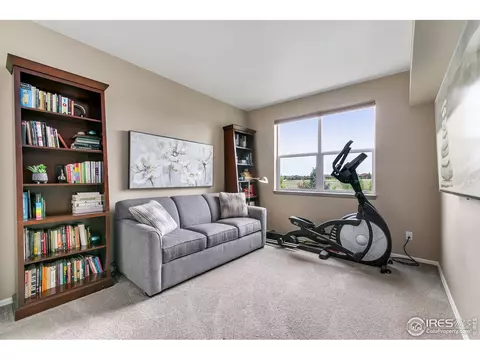 7025 Aladar Dr, Windsor, CO 80550 photo 19