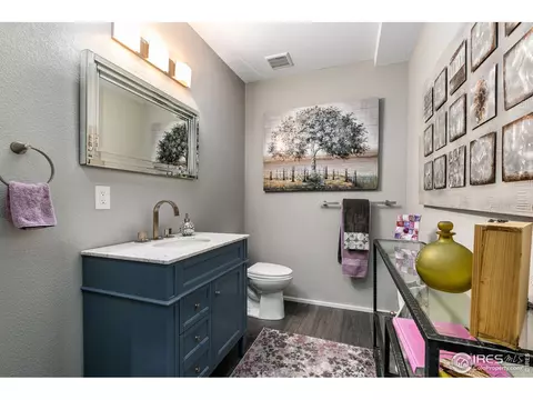7025 Aladar Dr, Windsor, CO 80550 photo 36