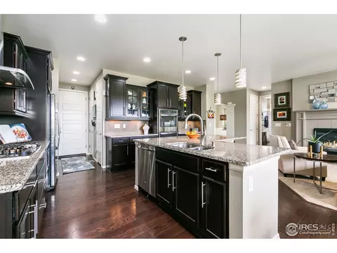 7025 Aladar Dr, Windsor, CO 80550 photo 10