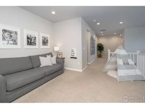 7040 Lightning Ct, Timnath, CO 80547 photo 34
