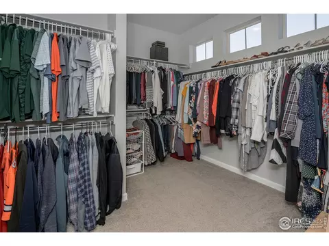 7040 Lightning Ct, Timnath, CO 80547 photo 27