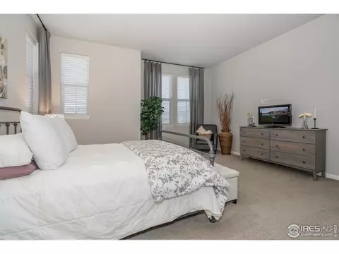 7040 Lightning Ct, Timnath, CO 80547 photo 31