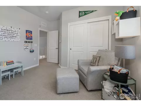 7040 Lightning Ct, Timnath, CO 80547 photo 30
