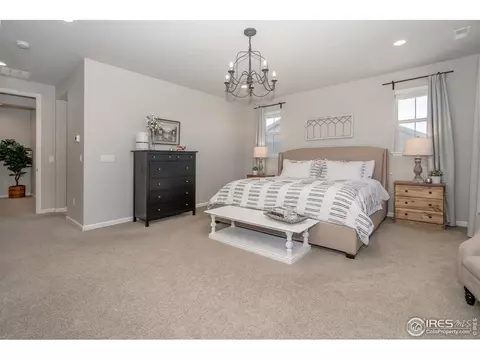 7040 Lightning Ct, Timnath, CO 80547 photo 24