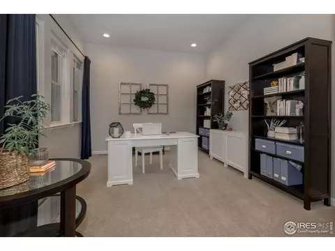 7040 Lightning Ct, Timnath, CO 80547 photo 8