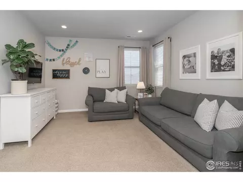 7040 Lightning Ct, Timnath, CO 80547 photo 33