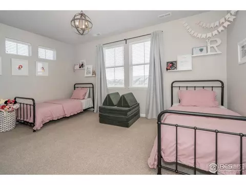 7040 Lightning Ct, Timnath, CO 80547 photo 28