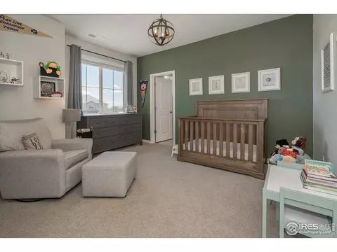 7040 Lightning Ct, Timnath, CO 80547 photo 29