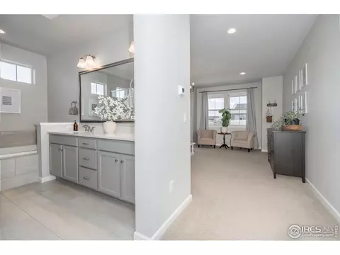 7040 Lightning Ct, Timnath, CO 80547 photo 25