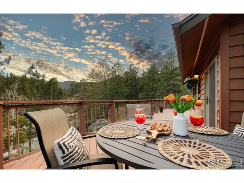 369 Cree Ct, Lyons, CO 80540 photo 14