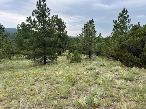 47 Bittersweet Ln, Westcliffe, CO 81252
