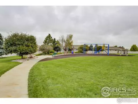 511 Limber Pine Ct, Severance, CO 80550 photo 9