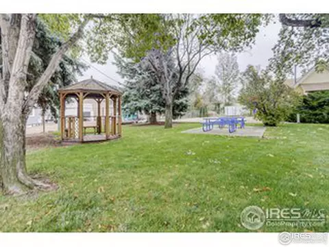 511 Limber Pine Ct, Severance, CO 80550 photo 10