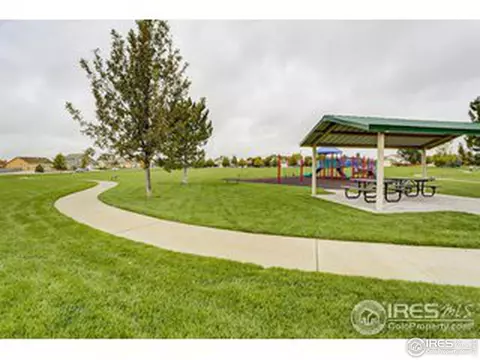 511 Limber Pine Ct, Severance, CO 80550 photo 8