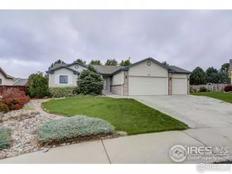 511 Limber Pine Ct, Severance, CO 80550 photo 1