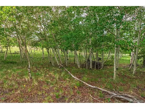 3953 Ranch Rd, Hartsel, CO 80449 photo 35