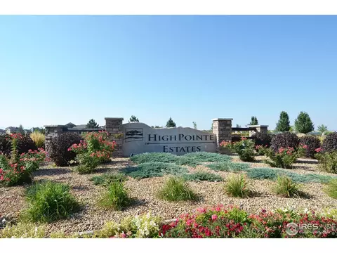 7970 Cherry Blossom Dr, Windsor, CO 80550 photo 34