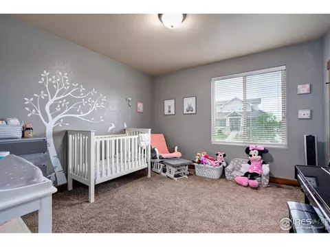 7970 Cherry Blossom Dr, Windsor, CO 80550 photo 21