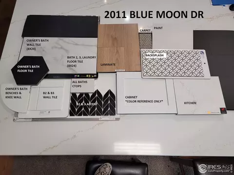 2011 Blue Moon Dr, Windsor, CO 80550 photo 2