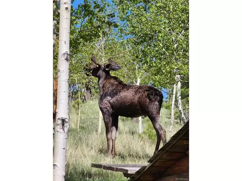 Other - 388 Clark Rd, Bailey, CO 80421 photo 3 of 11
