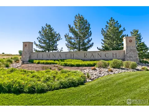 5207 Long Dr, Timnath, CO 80547 photo 38