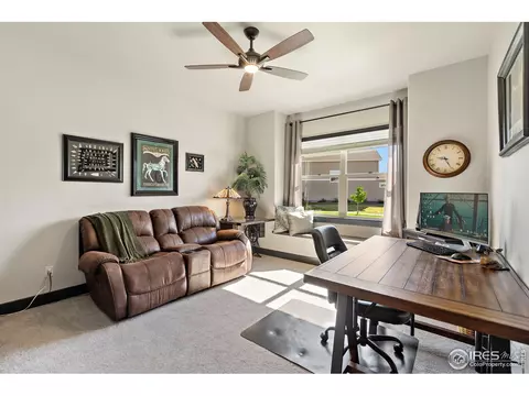 5207 Long Dr, Timnath, CO 80547 photo 17