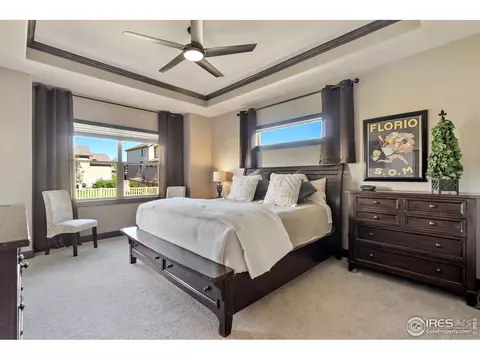 5207 Long Dr, Timnath, CO 80547 photo 14