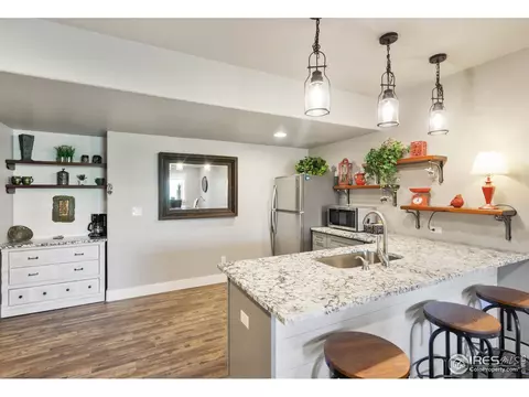 5207 Long Dr, Timnath, CO 80547 photo 24