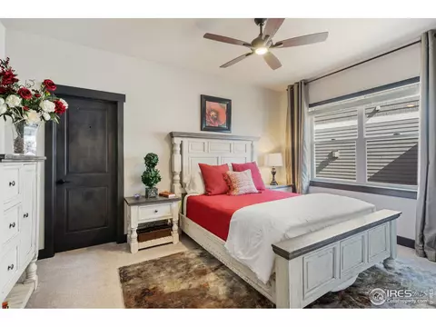 5207 Long Dr, Timnath, CO 80547 photo 20