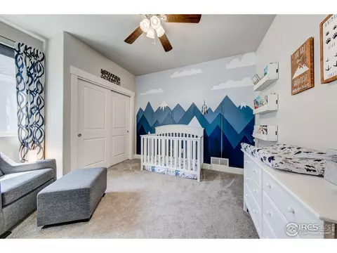 556 Vermilion Peak Dr, Windsor, CO 80550 photo 20