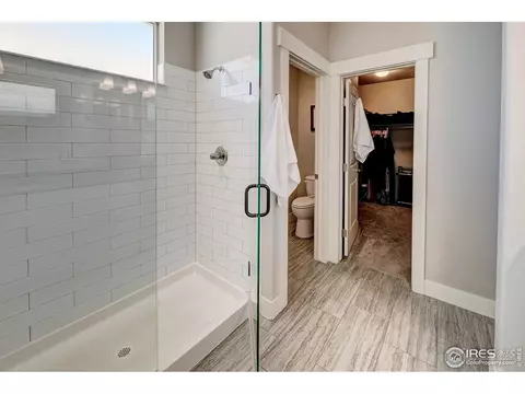 556 Vermilion Peak Dr, Windsor, CO 80550 photo 17