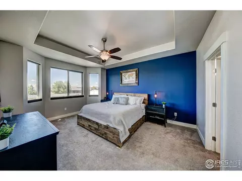 556 Vermilion Peak Dr, Windsor, CO 80550 photo 13