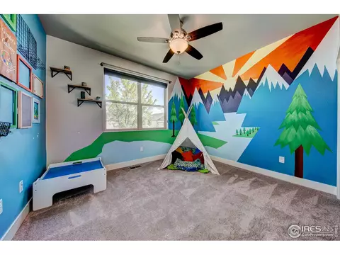 556 Vermilion Peak Dr, Windsor, CO 80550 photo 21