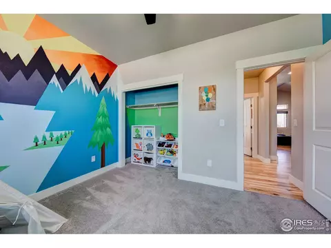 556 Vermilion Peak Dr, Windsor, CO 80550 photo 22