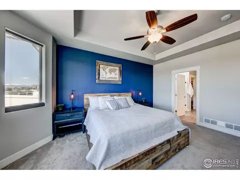 556 Vermilion Peak Dr, Windsor, CO 80550 photo 14