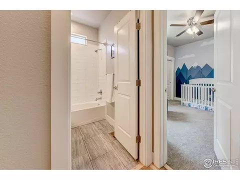 556 Vermilion Peak Dr, Windsor, CO 80550 photo 23