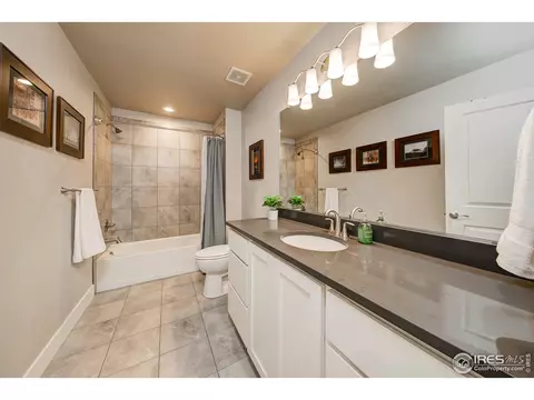 556 Vermilion Peak Dr, Windsor, CO 80550 photo 34