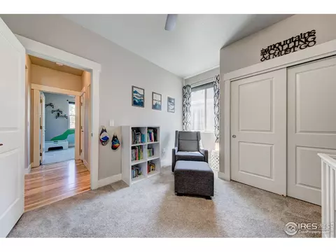 556 Vermilion Peak Dr, Windsor, CO 80550 photo 19