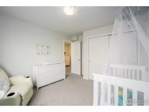 5092 Thunderhead Dr, Timnath, CO 80547 photo 23