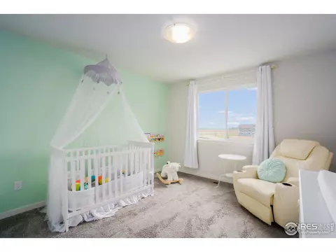 5092 Thunderhead Dr, Timnath, CO 80547 photo 22