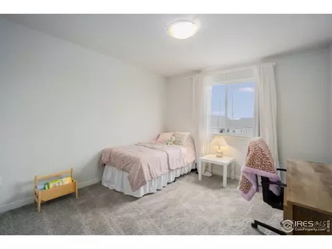 5092 Thunderhead Dr, Timnath, CO 80547 photo 24