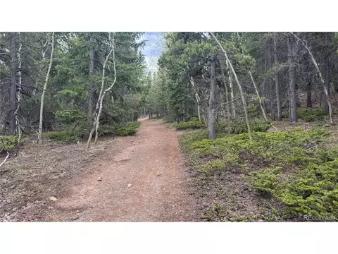 5 Roy Smith Rd, Central City, CO 80427
