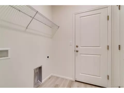 1262 Bakers Pass St, Windsor, CO 80550 photo 23