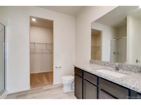 1262 Bakers Pass St, Windsor, CO 80550 photo 14