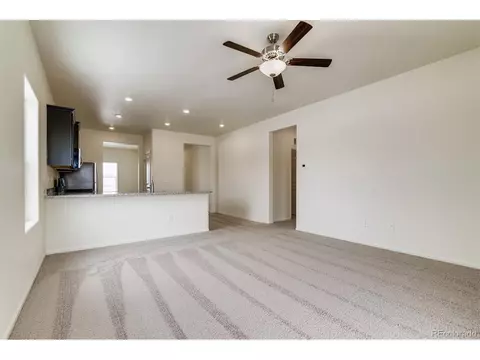 1262 Bakers Pass St, Windsor, CO 80550 photo 5