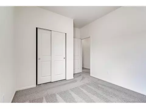 1262 Bakers Pass St, Windsor, CO 80550 photo 18